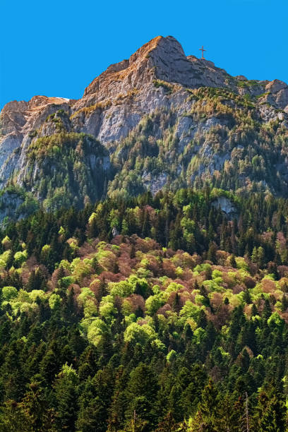 istock Caraiman Peak in the Bucegi Mountains 1187169709