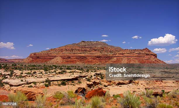 Desert Landscape Stock Photo - Download Image Now - Arizona, Blue, Cactus