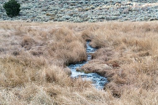Small stream running through a grassy field.
