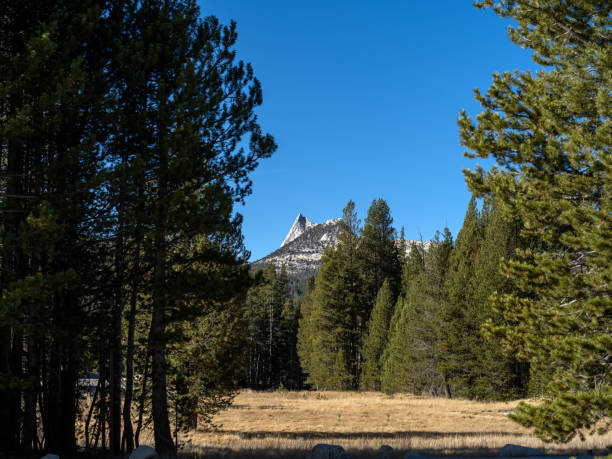 istock Mountain peaks in Yosemite National Park 1187171828