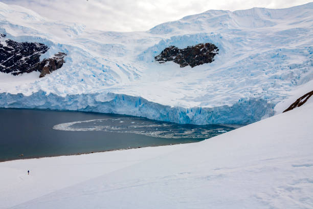 istock Neko Harbor Glacier - Antarctic Peninsula - Antarctica 1187172440