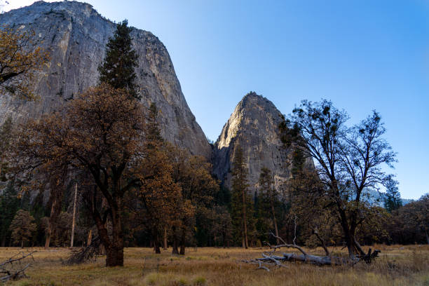El Capitan Landscape in Yosemite National Park on a sunny summer day in California.