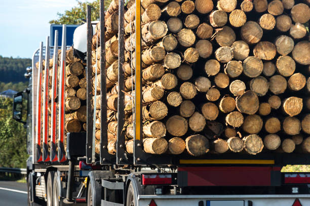 istock Truck with tree trunks on the highway 1187173960