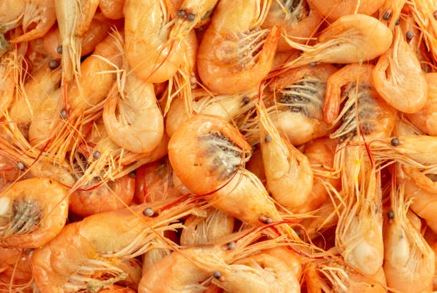 istock Boiled shrimp closeup 1187175167