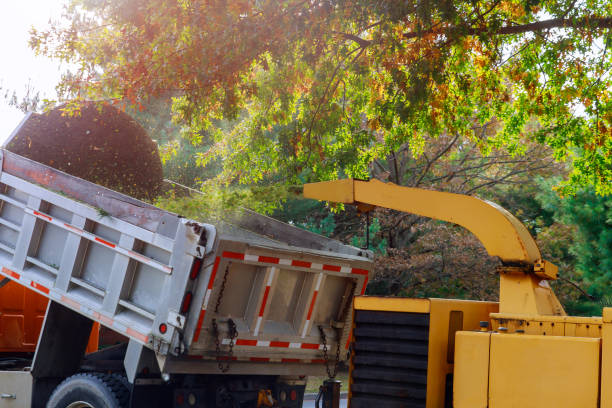 istock Wood chipper blowing tree branches cut a portable machine used for reducing wood into smaller wood chips. 1187176671