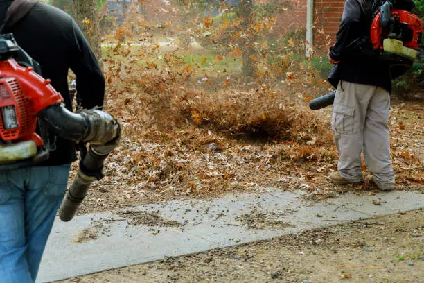 Photo of Cleaning of the territory from leaves in autumn people with brooms,