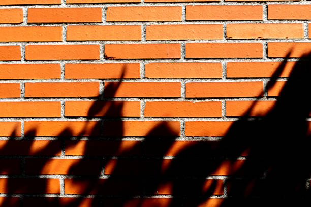 istock Red brick wall with the shadow of a plant 1187178581