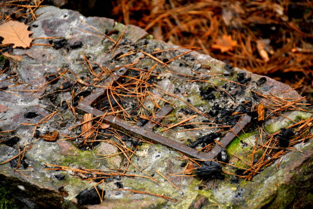 istock Massive metal E letter covered with ash, needles and leaves fallen from the sky and some moss in the middle of a stone part of a fireplace or bonfire located in the middle of forest or moor in Poland 1187180992