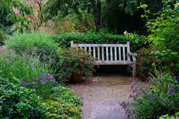 istock Wooden Bench on a Garden Patio 1187182953