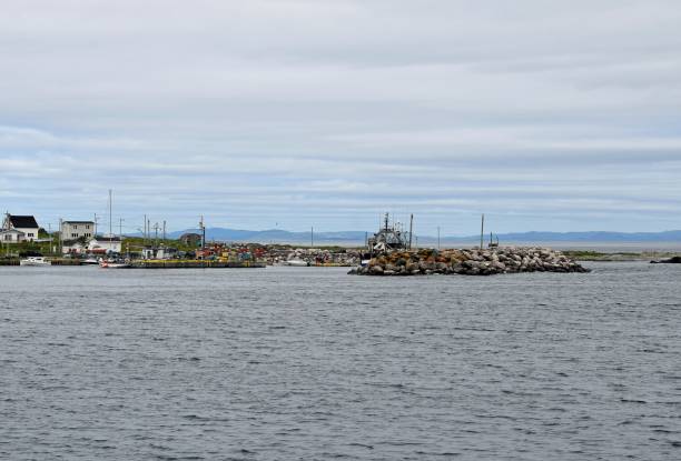 istock Hant's Harbour fishing dock, NL 1187182966