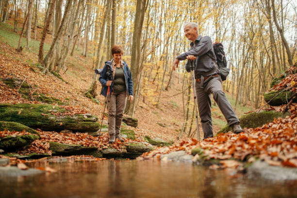 istock Senior couple going hiking in forest on mountain 1187184102