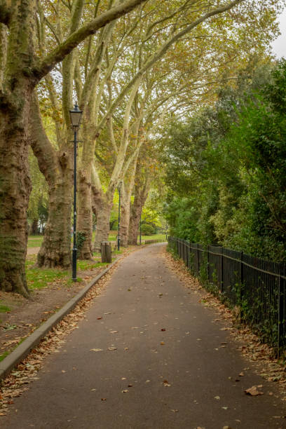 istock A Path Through an English Park in Autumn 1187184524