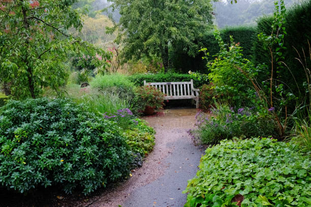 A wooden bench on a patio area in an English country garden on a very wet day