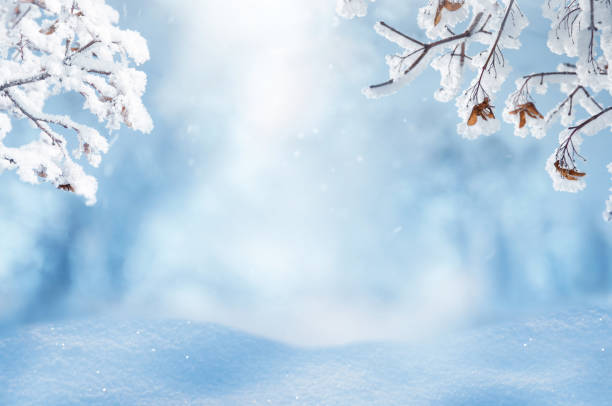 istock Christmas background Landscape with snow and frozen maple branches. Selective focus. 1187189003