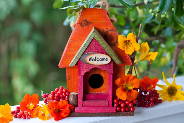istock Wooden Bird House 1187189095