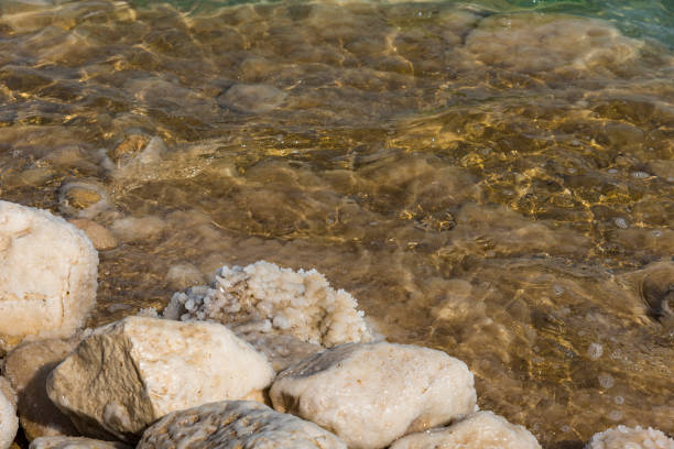 Closeup of salt crystals from the Dead Sea in Israel