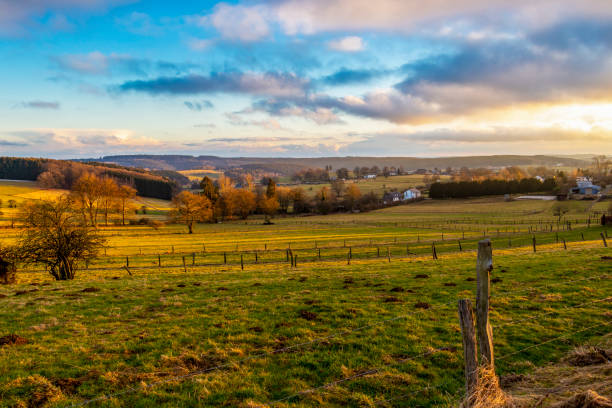 istock Belgian agricultural landscape on a winter evening 1187192678