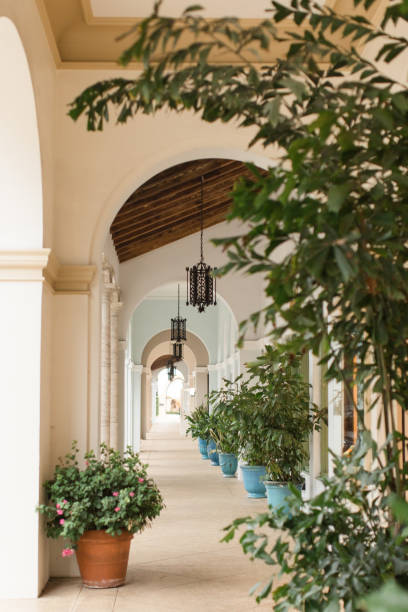 istock Potted Plant on Palm Beach 1187193201