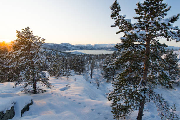 istock Snowy landscape with Alta fjord 1187196363