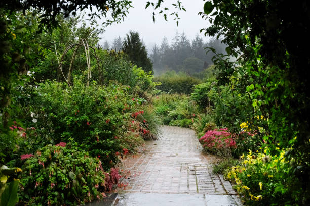 Park and garden in Tsinandali, Georgia.