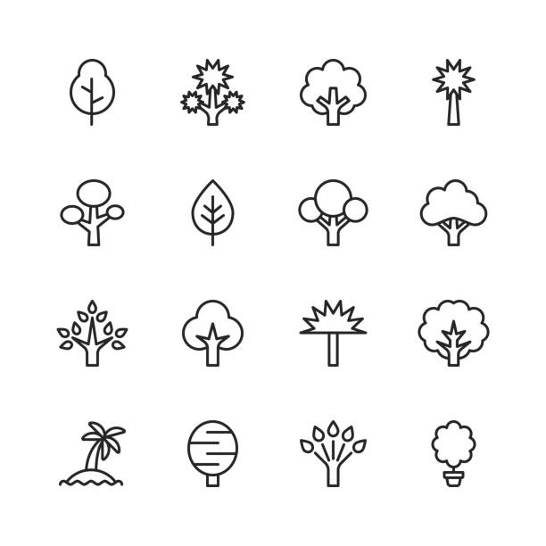 baumlinie icons. bearbeitbarer strich. pixel perfekt. für mobile und web. enthält symbole wie baum, wald, natur, natur, umwelt, ökologie. - tree stock-grafiken, -clipart, -cartoons und -symbole