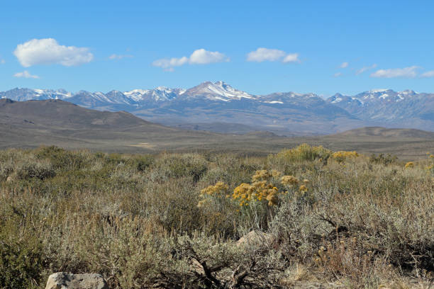 istock Snow-covered mountains in the U.S. California 1187202180
