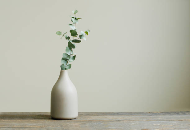Eucalyptus branch in a vase on the rustic wooden table Detail of contemporary cozy interior. Eucalyptus branch in a vase on the rustic wooden table. Blank space for text on the wall. still life photos stock pictures, royalty-free photos & images