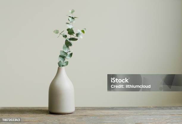 Eucalyptus Branch In A Vase On The Rustic Wooden Table Stock Photo - Download Image Now