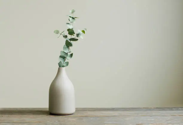 Detail of contemporary cozy interior. Eucalyptus branch in a vase on the rustic wooden table. Blank space for text on the wall.