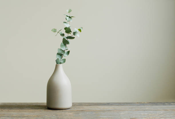 eucalyptus branch in a vase on the rustic wooden table - natureza morta imagens e fotografias de stock