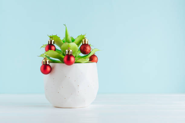 istock Succulent plant decorated with Christmas red balls 1187204252
