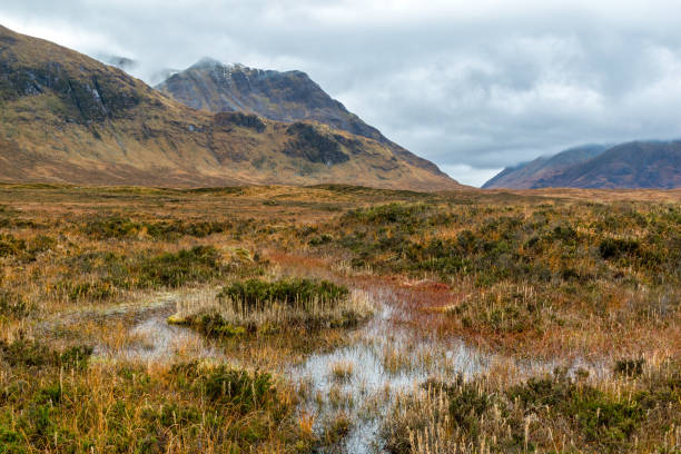 Scotland Peat Bog THis is a bog located in Glencoe in the Scottish Highlands Peat stock pictures, royalty-free photos & images