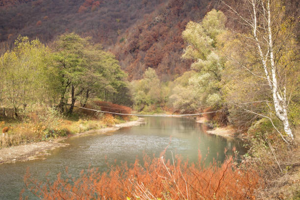 Autumn lake colors. Fall background