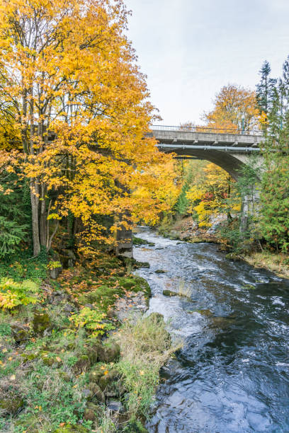 istock Tumwater Falls Park Bridge Over River 1187211024