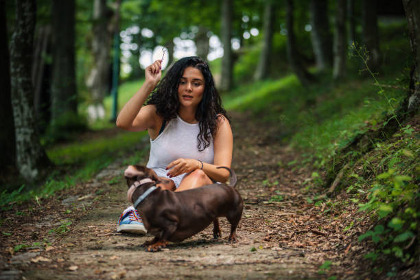 молодая женщина и ее собака играют - pet toy dachshund dog toy стоковые фото и изображения