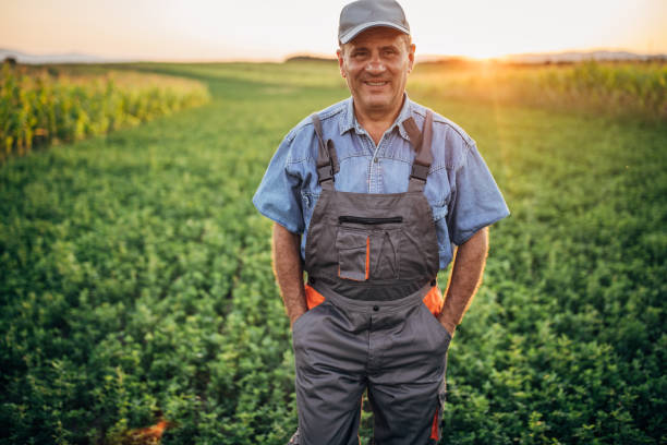 istock Cheerful senior farmer in field 1187217112