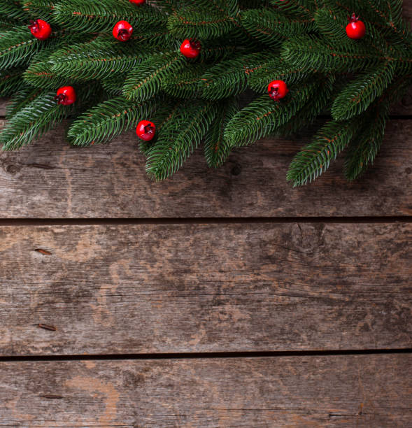 istock Christmas background with branch of tree 1187219729