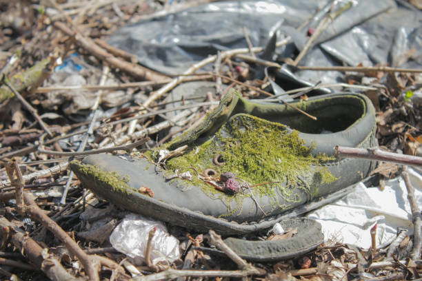 istock Old dirty boot overgrown with a moss and fungus 1187222614