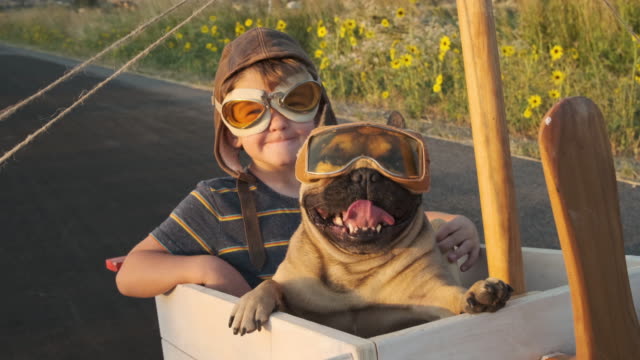 Two Boys Flying in Toy Airplane with Pet Dog