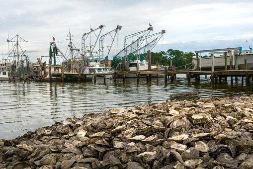 Fishing village with large pile of oyster shells and shrimp fishing boats on water