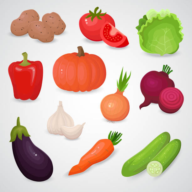 ilustraciones, imágenes clip art, dibujos animados e iconos de stock de conjunto de iconos vectoriales vegetales. - beet common beet isolated red