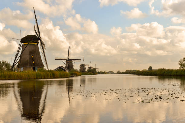 istock Looking across the water at windmills 1187228730