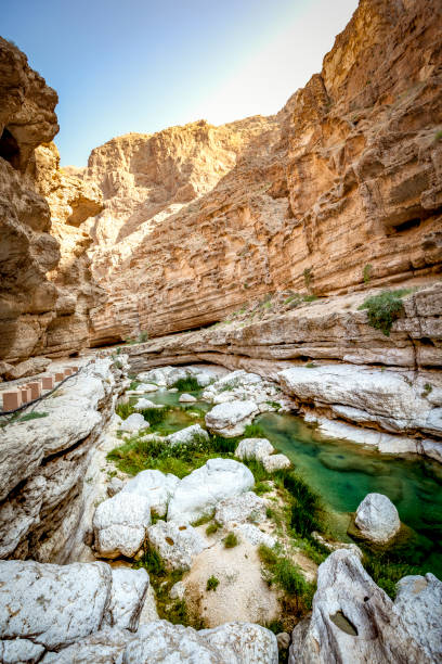 wadi shab oasi alveo del fiume, oman - oasis wadi al shab valley canyon foto e immagini stock