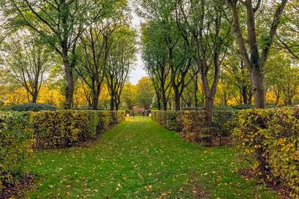 Photo of Ham House back garden in Ham, London, United Kingdom