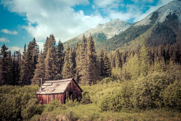 istock Old cabin in British Columbia Canada 1187233047