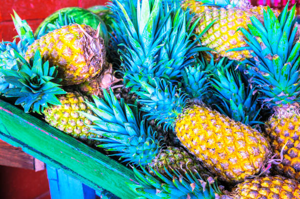 istock Antigua Black Pineapples 1187234188