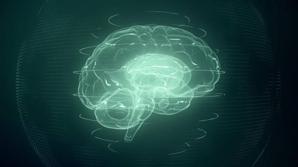 istock Futuristic blue digital brain. Neurons firing in MRI scan 1187236242