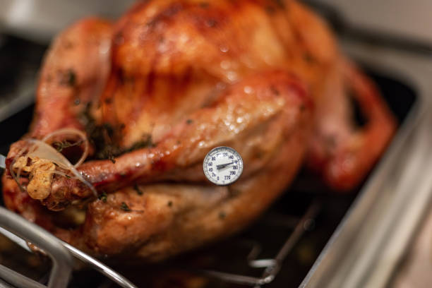 istock Using a meat thermometer to check if the turkey is done 1187239447