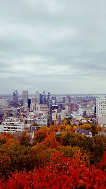 istock At the top of Montreal (photo4) 1187241610