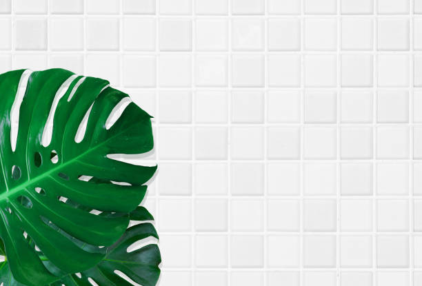 istock Green palm and Monstera leaf on a white background. Flat lay, top view. Place for your text. Summer Abstract or leaf on seamless pattern of tiles in white and gray colors view from above for space. 1187244051